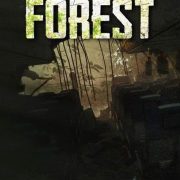 The Forest The Forest